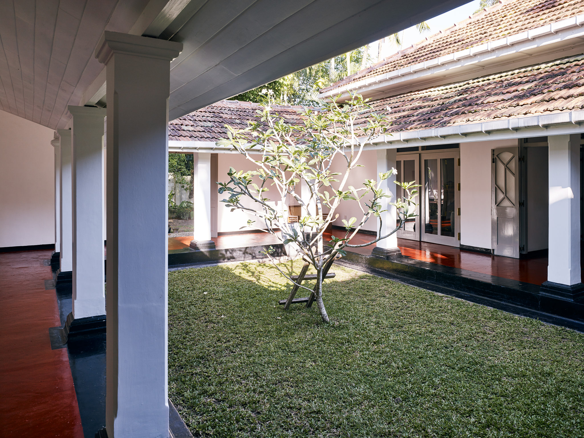 E15550 Alpa 049915 SCREEN